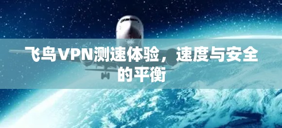 飞鸟VPN测速体验,速度与安全的平衡