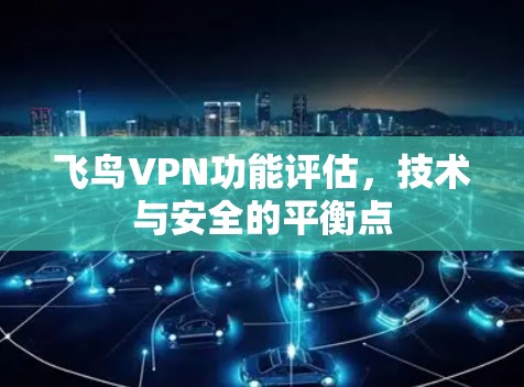 飞鸟VPN功能评估,技术与安全的平衡点
