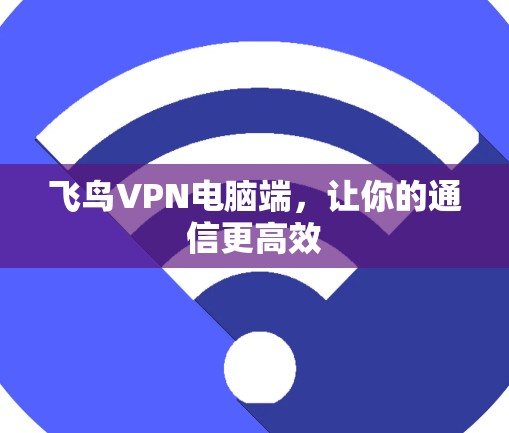 飞鸟VPN电脑端，让你的通信更高效