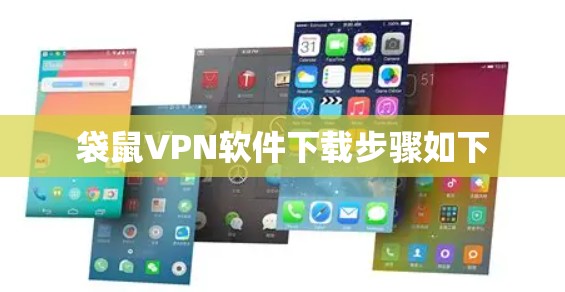 袋鼠VPN软件下载步骤如下