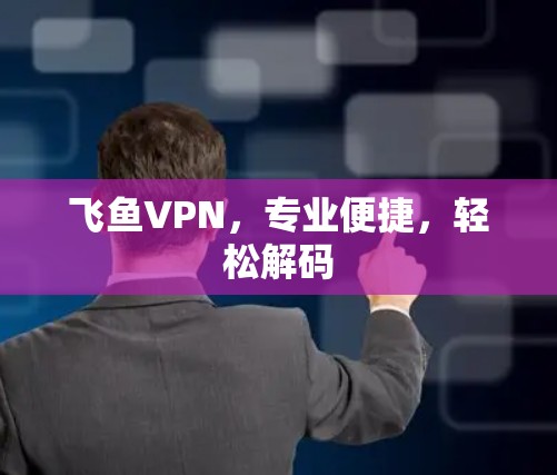 飞鱼VPN,专业便捷,轻松解码