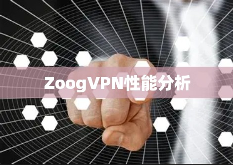 ZoogVPN性能分析