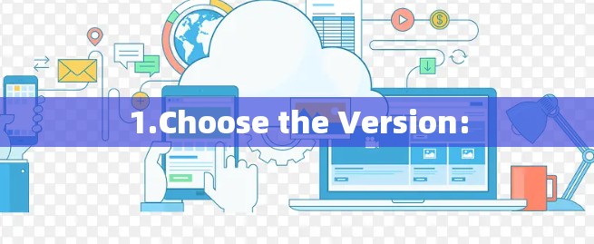 1.Choose the Version: