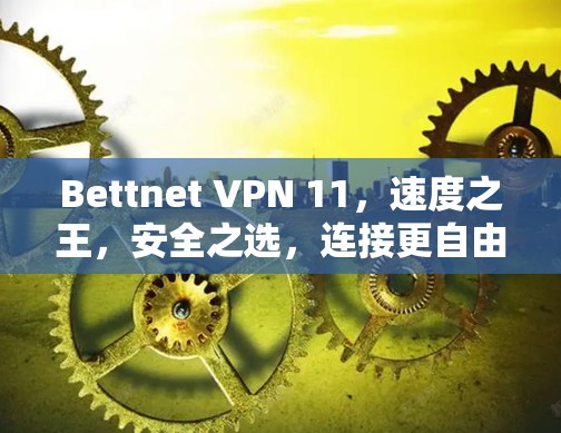 Bettnet VPN 11,速度之王,安全之选,连接更自由