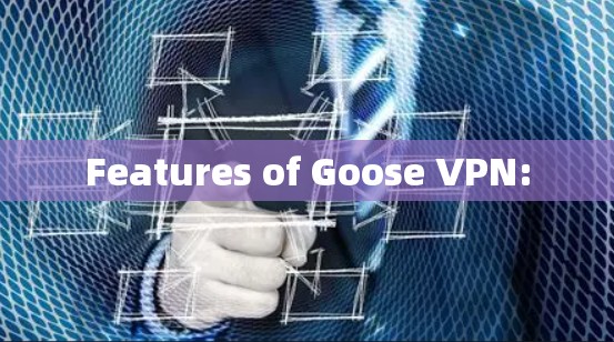 Features of Goose VPN: