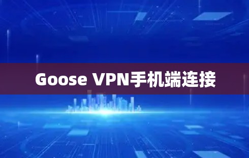 Goose VPN手机端连接