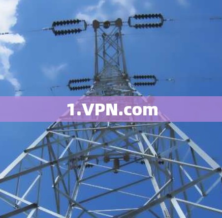 1.VPN.com