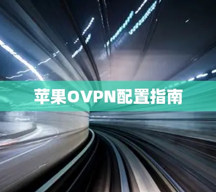 苹果OVPN配置指南