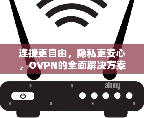连接更自由,隐私更安心,OVPN的全面解决方案