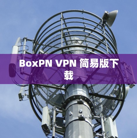 BoxPN VPN 简易版下载