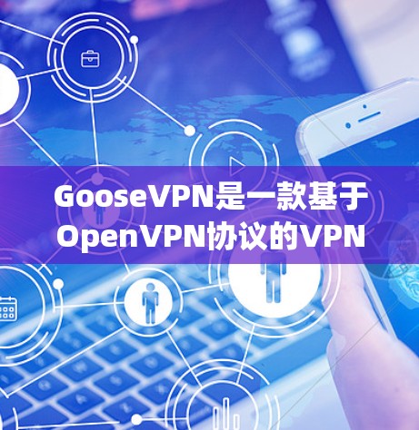 GooseVPN是一款基于OpenVPN协议的VPN服务,提供安全、可靠的网络连接体验。以下是对GooseVPN的详细评测