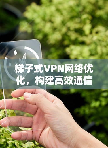 梯子式VPN网络优化，构建高效通信架构