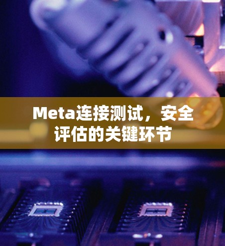 Meta连接测试,安全评估的关键环节