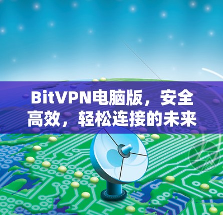 BitVPN电脑版,安全高效,轻松连接的未来解决方案