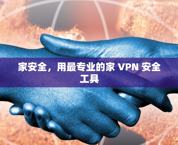 家安全，用最专业的家 VPN 安全工具
