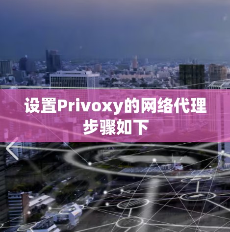设置Privoxy的网络代理步骤如下