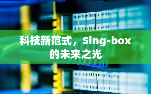 科技新范式,Sing-box的未来之光