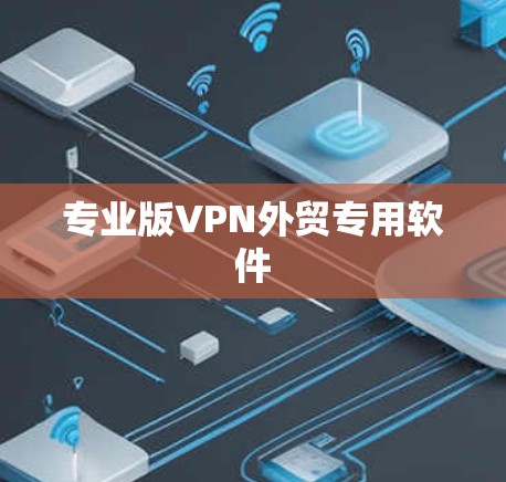 专业版VPN外贸专用软件