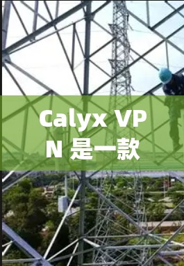 Calyx VPN 是一款功能强大的网络安全软件,专为VPN用户提供高效、安全的连接体验。关于 Calyx VPN 的速度分析,以下是一些关键点和分析