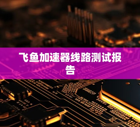 飞鱼加速器线路测试报告
