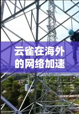 云雀在海外的网络加速器服务覆盖了多种类型和平台，提供多样化的选择。以下是对云雀在海外的主要信息的总结