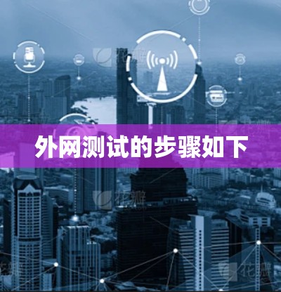 外网测试的步骤如下