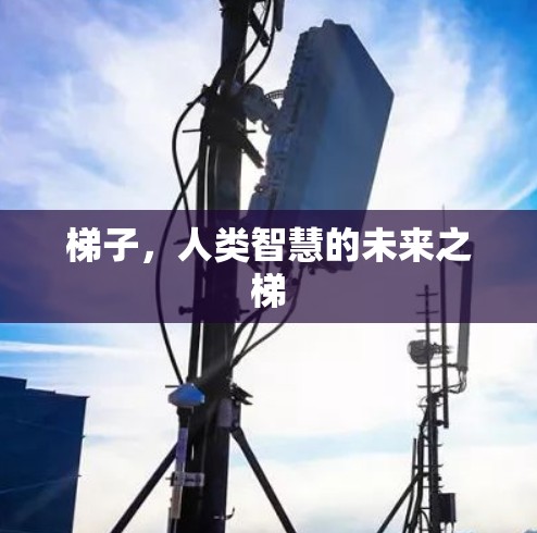 梯子，人类智慧的未来之梯