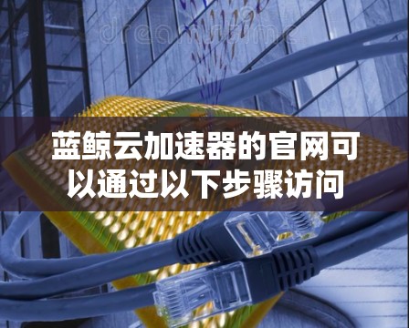 蓝鲸云加速器的官网可以通过以下步骤访问