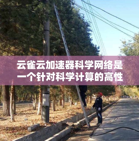 云雀云加速器科学网络是一个针对科学计算的高性能网络加速器,通过连接云计算服务器来加速任务,提升效率和性能。以下是对其功能和应用的详细介绍